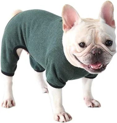 Produktbild von Sommerkleidung für Hunde mit Motiv für Klein- und Mittelhunde