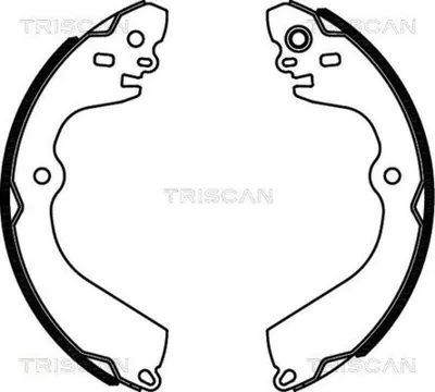 Image de Jeu de mâchoires de frein arrière TRISCAN 8100 14013
