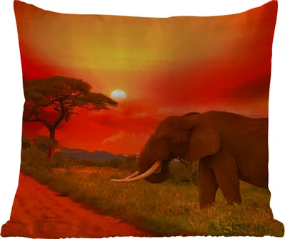 Produktbild von MuchoWow® Outdoor Kissen - Elefant - Sonnenuntergang - Orange - Savanne - Tiere - 40x40 cm - Wetterfest - Lounge Kissen - Kopfkissen - Interieur - Polster mit Bild