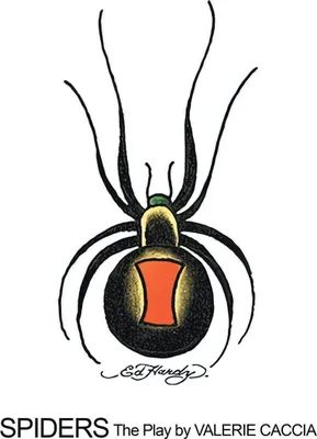 Produktbild von Spiders