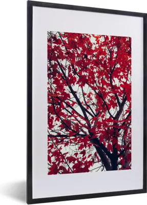 Produktbild von MuchoWow® Gerahmtes Poster Ahorn - Blätter - Herbst - Natur 40x60 cm - Poster mit Schwarzem Bilderrahmen Wandposter Rahmen Foto Bilder - Poster in Rahmen