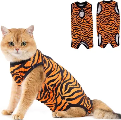 Produktbild von Katzen-Erholungsanzug nach OP L Tiger, Modal, Leckschutz