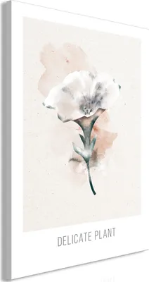 Produktbild von Vlies Leinwandbild - Delicate Plant (1 Part) Vertical 40x60 cm Blumen b-A-10104-b-a