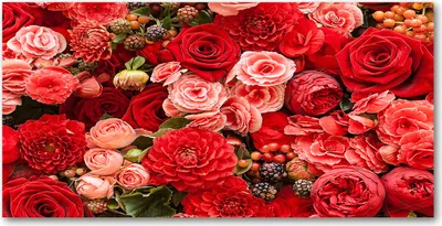 Produktbild von Tulup Glas-Bild -140x70- Wandkunst Dekorative Wand für Küche & Wohnzimmer - Blumen & Pflanzen - Rote Blumen - Rot