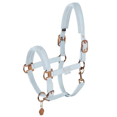 Produktbild von Eskadron Platinum Halfter " DOUBLEPIN FAUX LEATHER ", Lederhalfter, Stallhalfter Größe - X-Warmblut Farbe - powder blue