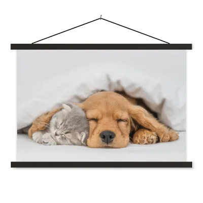 Produktbild von MuchoWow® Textilposter Haustiere - Hund - Katze - Decke 120x80 cm mit schwarzem Rahmen - Wanddeko