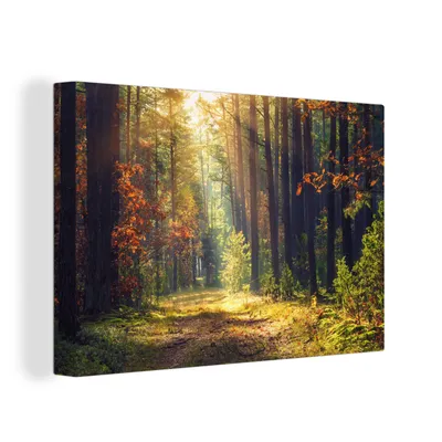 Zdjęcie produktu dla OneMillionCanvasses® - Obraz na płótnie - 150x100 cm, Las - Jesień - Drzewa, dekoracja ścienna z nadrukiem