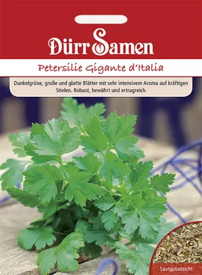 Produktbild von Dürr-Samen - Petersilie Gigante d"Italia - Saatgut - 1890