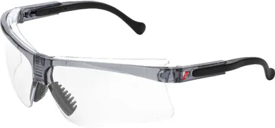Produktbild von Nitras Vision Protect PREMIUM | 12 Schutzbrillen | schwarz | Kunststoff