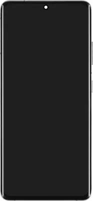 Produktbild von Samsung Galaxy S21 Ultra 5G Display (mit Rahmen) Phantom Silver (silber)