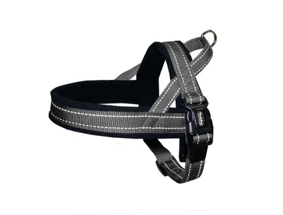 Produktbild von Norwegergeschirr "CLASSIC REFLECT SOFT", grau, XL