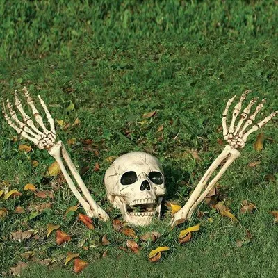 Obrázek produktu pro Plastové kostry na Halloween – 3 kusy – lebka a ruce – plast – velikost: 3 kusy – halloweenské doplňky.