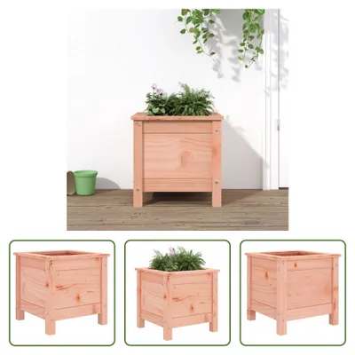 Produktbild von The Living Store Pflanzkübel 40x40x39 cm Massivholz Douglasie