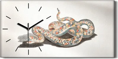 Produktbild von Wohnzimmer-Bild Leinwand Uhr Geräuschlos 60x30 Gemälde Tier Schlangen Kunst - schwarze Hände