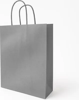 Zdjęcie produktu dla Torba 230x120x300 / SILVER