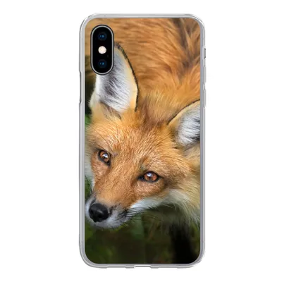 Produktbild von MuchoWow® Handyhülle Schutzhülle Hülle für iPhone X Fuchs - Grün - Orange Silikon Softcase Handy Hülle - Handyhülle
