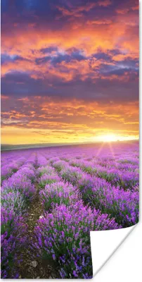 Produktbild von MuchoWow® Poster Lavendel - Wolken - Frühling 60x120 cm - Wandschmuck