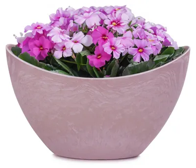 Produktbild von Pflanzschale oval 24 cm für draussen Dekoschale alt-rosa marmoriert