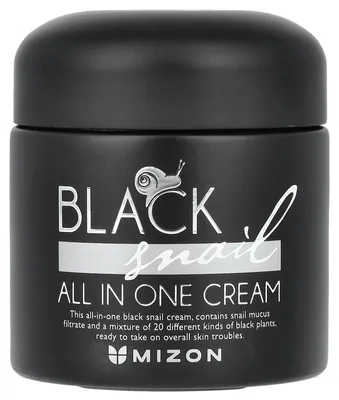 Zdjęcie produktu dla Mizon Black Snail All In One Cream 75ml