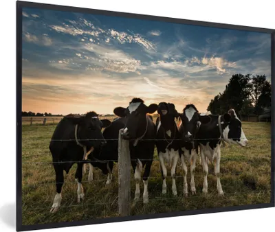 Produktbild von MuchoWow® Gerahmtes Poster Tiere - Kuh 60x40 cm - Poster mit Schwarzem Bilderrahmen Wandposter Rahmen Foto Bilder - Printing - Wanddeko Schlafzimmer