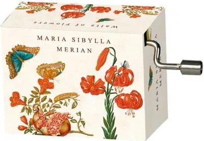 Image de Flasneta Maria Sibylla Merian, Fridolin