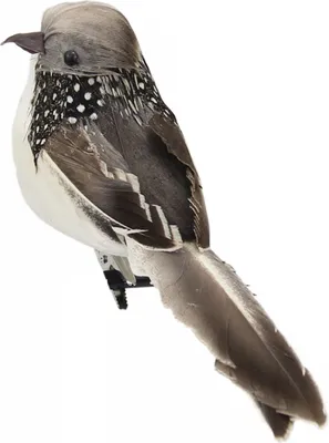 Produktbild von Vogelfigur realistische Gartendekoration Kunstwerk Künstlich gefiederter Schaum Vogel für den Innenhof-Grau
