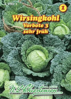 Artikelbild 1 von 'Wirsingkohl Vorbote 3' aus der Kategorie Wirsingsamen