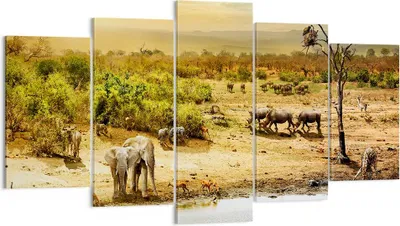 Produktbild von Bild auf Leinwand - Leinwandbild - Safari Tiere - 160x85cm - Wand Bild - Wanddeko - Wandbilder - Leinwanddruck - Bilder - Kunstdruck - Wanddekoration - Leinwand bilder - Wandkunst - EA160x85-3880