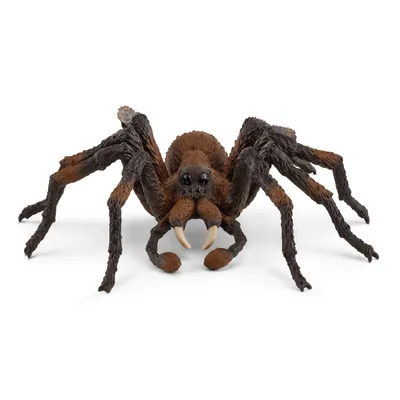 Image de Schleich Wizarding World Aragog 13987