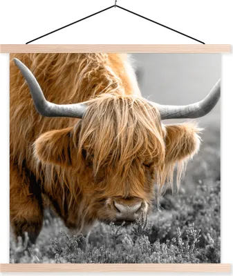 Produktbild von MuchoWow® Textilposter Scottish Hochlandrind - Pflanzen - Schwarz - Weiß 40x40 cm mit holzfarbenen Rahmen - Posterleiste