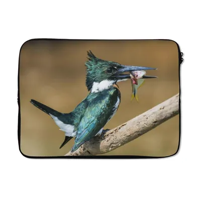 Produktbild von MuchoWow® Laptop Hülle 14 ZollVogel - Fisch - Zweig Laptoptasche - Laptoptasche - Stoßsicher - Schutzhaube