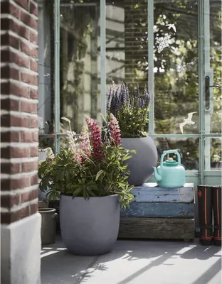 Produktbild von Capi Blumentopf Urban Smooth 54x52 cm Dunkelgrau