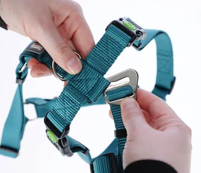 Obrázek produktu pro Kerbl Panikgeschirr Miami (Halsumfang 30 - 41 cm, Brustumfang 42 – 55 cm)