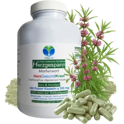 Produktbild von Echtes Herzgespann Motherwort 360 Pulver Kapseln nach Hildegard von Bingen - Herz & Kreislauf - NATUR Pur ohne Zusatzstoffe.