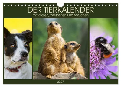 Produktbild von Der Tierkalender mit Zitaten, Weisheiten und Sprüchen (Wandkalender 2027 DIN A4 quer), CALVENDO Monatskalender