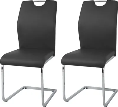 Produktbild von Schwingstuhl 2er-Set Nelly HTI-Line