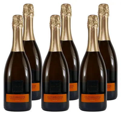 Produktbild von Ca` Ernesto Valdobbiadene Prosecco Superiore (6 x 0,75L)