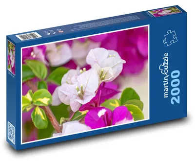 Obrázek produktu pro Puzzle 2000 Růžové květy - květiny - martinpuzzle