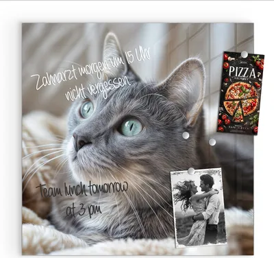 Produktbild von Magnettafel 50x50cm Pinnwand Whiteboard beschreibbar - Kuschelige Katze
