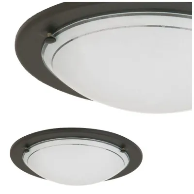 Two ceiling lights are shown against a white background. One is a close-up of the top part of a light, and the other is a full view of a light.