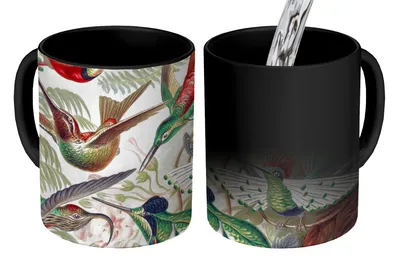 Obrázok produktu pre KitchenYeah® Magický hrnček Magický hrnček Magický kolibrík - Vintage - Ernst Haeckel - Vták - Umenie - Príroda 350 ml Hrnček na zmenu farby Darčekový nápad na darček - Magický hrnček - Foto hrnček - Keramické hrnčeky - Obrázky