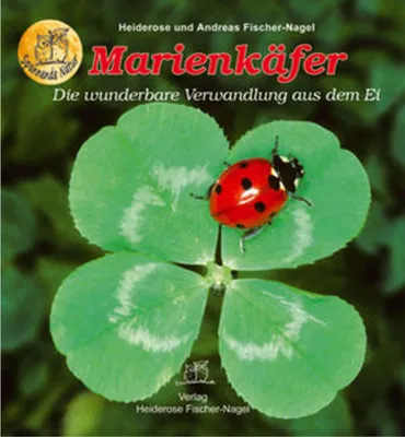 Produktbild von Marienkäfer