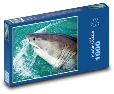 Obrázek produktu pro martinpuzzle - Puzzle 1000 - Žralok