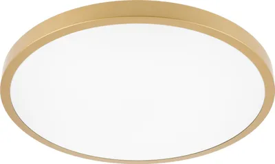 Produktbild von 32 Watt LED Deckenleuchte IP54 für innen und Außen gold rund|400 x 60mm (B. x H.)|Warmweiß|2560 Lumen