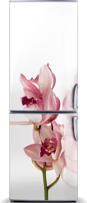 Produktbild von Tulup Kühlschrankdekoration - Magnetmatte - 70 cm x 190 cm - Magnet auf dem Kühlschrank - Rosa Orchidee