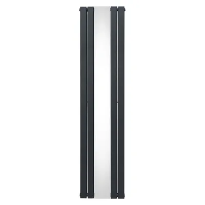 Productafbeelding van Radiator met spiegel - 1800 mm x 425 mm - Anthracietgrijs