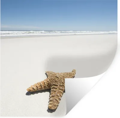 Produktbild von MuchoWow® Wandtattoo Wandsticker Wandaufkleber Seestern - Strand - Himmel 100x100 cm Selbstklebend und Repositionierbar - Wierderverwendbar - Selbstklebend