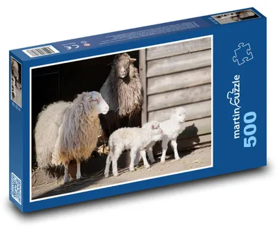 Obrázek produktu pro Puzzle 500 Ovce s jehňaty na farmě - martinpuzzle