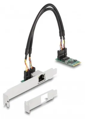 Imagen del producto de Delock 95272 DELOCK Konverter M.2 Key B+M 1 x RJ45 2,5 Gigabit LAN