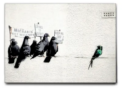 Immagine prodotto di Giallobus - Piccioni - Banksy - 70L x 50l cm - Quadro - Tela Canvas Telaio Standard